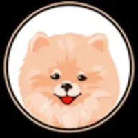 SpitzDOGE Logo