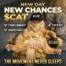 The cat meme Logo