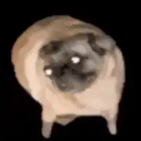 PUGDOG Logo