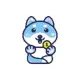 DogeUSD