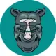 TetheRhino