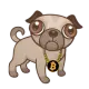 Puggle