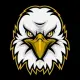 Eagle Vision