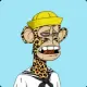 Bored Ape Yacht Token