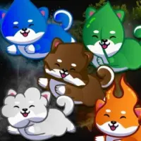Elemental Doge Logo