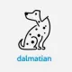 Dalmatian BSC