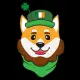 Lucky Irish Inu
