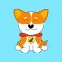 CorgiCoin Logo