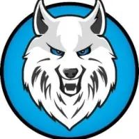 Direwolf Logo