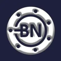 BitNorm Token Logo