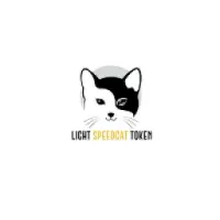 Light Speed Cat Logo