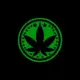 KUSH COIN