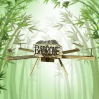 Bamboo Drone Logo