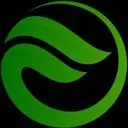 Flourish Coin Logo