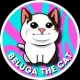 Beluga The Cat