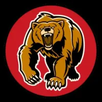 Bearcoin Logo