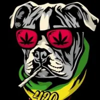 Puffydog Coin Logo