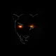 Panther Quant