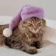 So Sleepy Eepy