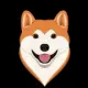 SHINJIIINU