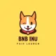 BNB INU Token