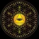 Elite Growth Protocol