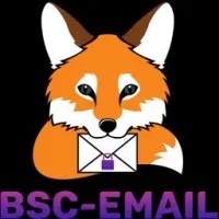 BSC EMAIL Logo