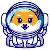 Baby Space Floki Logo