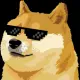Shiba Neo