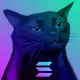 Zoned Out Cat