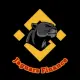Jaguars Finance