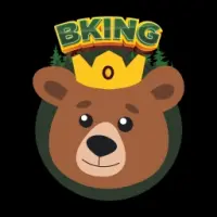 BKING Finance Logo