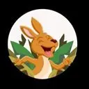 KangarooCoin Logo