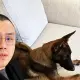 Broccoli CZ dog