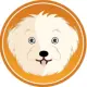 MALTIPOO INU