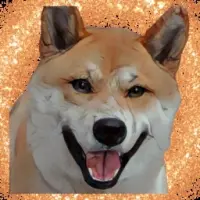 Shiba Foxy Logo