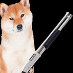 DogeGun