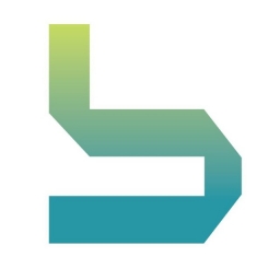 BINGSCHAIN Logo