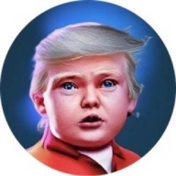 Baby-trump---dexview-Gate-certik Logo