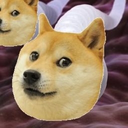 Sperm Doge Coin