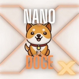 NanoDogeX