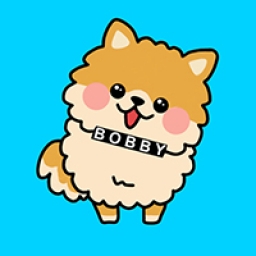 BobbyCoin Logo