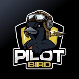 Little-Pilot-Bird Logo