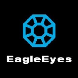 Protocol of EagleEye