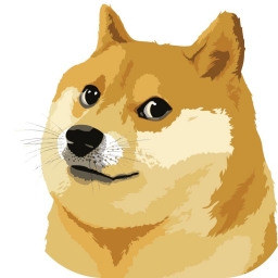 SAFEDOGE_TOKEN Logo