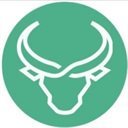 Bullrun-2.0 Logo