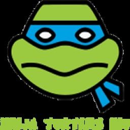 Ninjaturtlesinu Logo