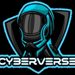 CyberVerse