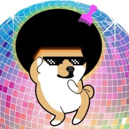 Disco-Doge Logo