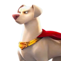 Super Doge Inu